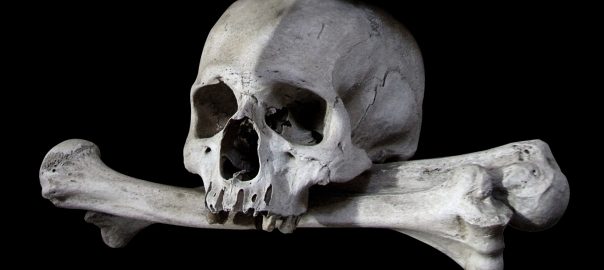 skull, bones, the pirate bay