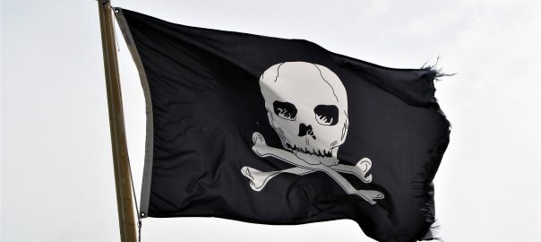 flag, piraten, skull