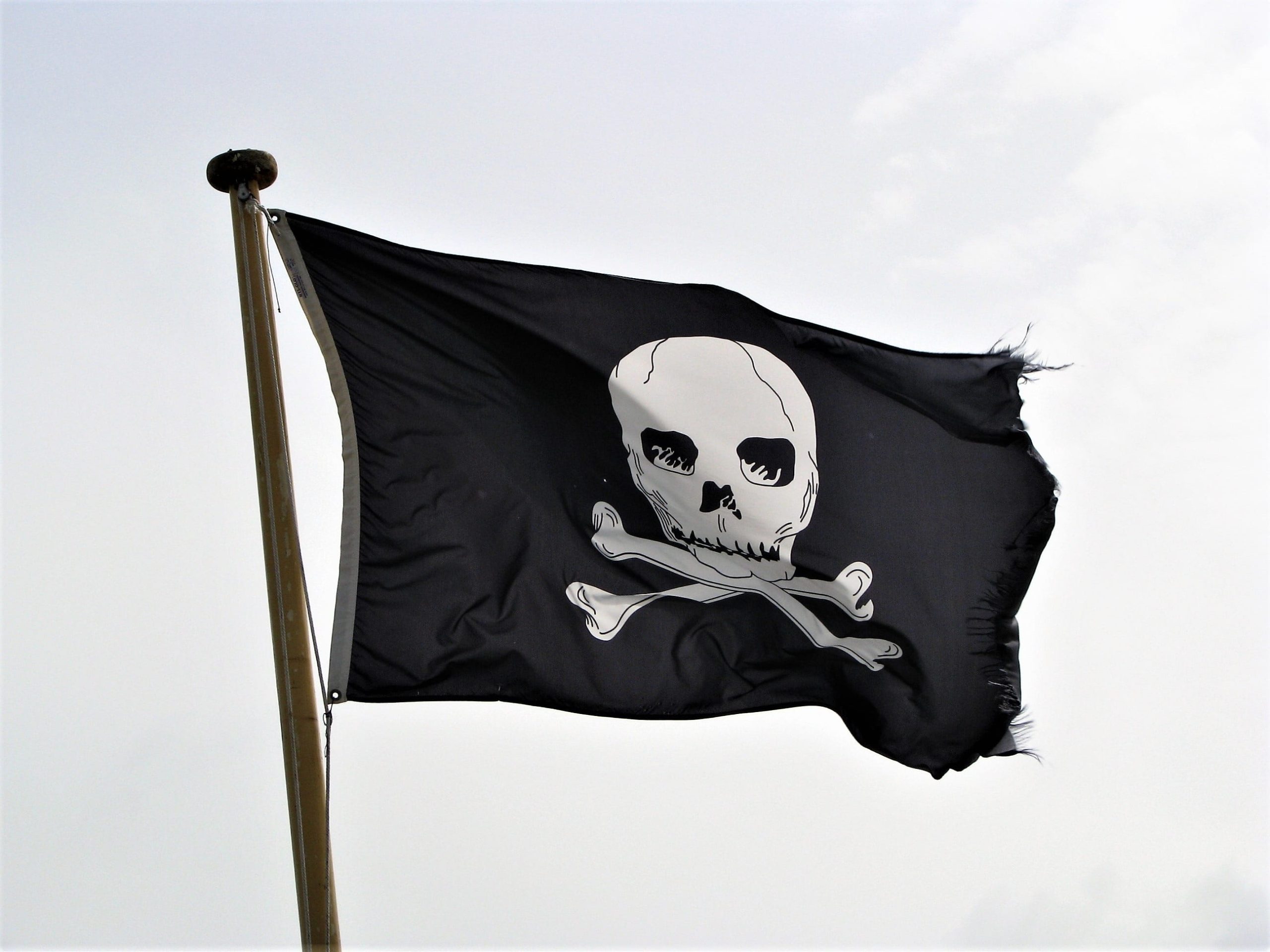 flag, piraten, skull